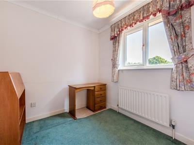 Picture 19